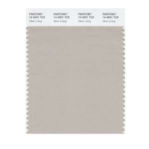 PANTONE SMART 14 4501X Color Swatch Card, Silver Lining 