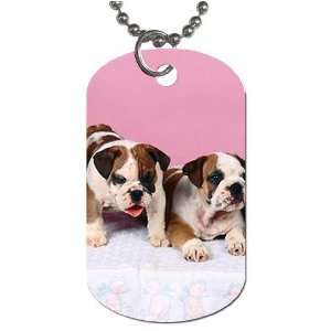Cute English bulldog puppies Dog Tag with 30 chain necklace Great 