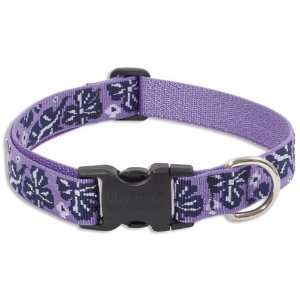  Surf Pup   Lupine Adjustable Collars Large 1 in. x 16 in 
