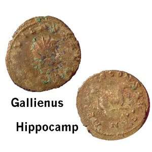   . Hippocamp   Ancient Sea Monster. Roman Coin 