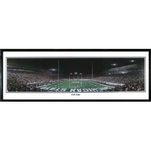 Michigan State End Zone vs. Notre Dame Panoramic  Sports 