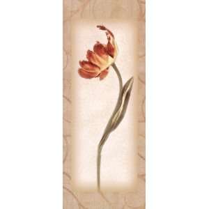   III Tulip Finest LAMINATED Print Donna Geissler 8x20