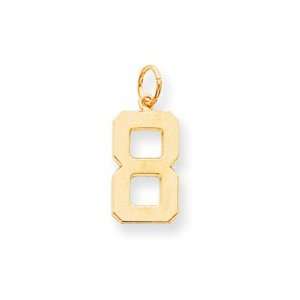  14k Yellow Casted Large Polished Number 8 Charm 