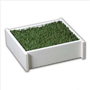    Bundle 65 Mini PETaPOTTY Type Synthetic Grass