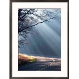  Road on a Misty Morning, Blue Ridge Parkway, NC Framed Art 