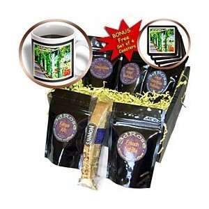 Susan Brown Designs Places Themes   Pergola   Coffee Gift Baskets 