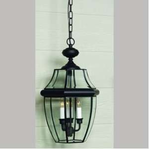   Newbury 4 Light Outdoor Hanging Lantern, Mystic Black Home