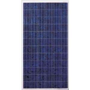  Canadian Solar CS6X 270P Solar Panel 270 Watts From King 