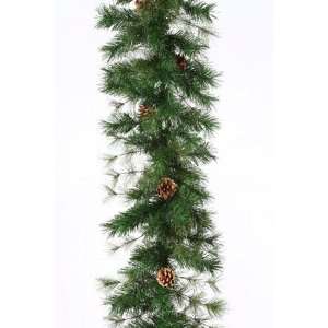  9 x 12 Foxtail Pine Artificial Christmas Garland with Pine 