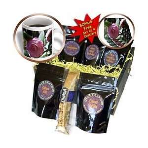   Japanese Camellia A Pink Flower   Coffee Gift Baskets   Coffee Gift