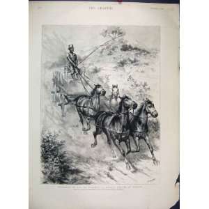  Durban Africa Native Horses Monarch Durand Print 1890 
