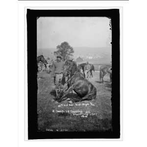 Historic Print (M) U.S. Army horse stunts, B Troop, 15th U.S. Cavalry 