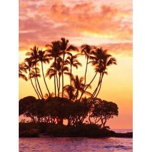  Sunset, Big Island, Hawaii, United States of America 