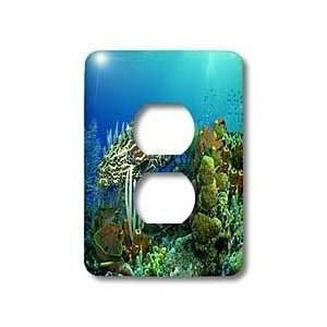  Ocean Life   Bass Fish Underwater   Light Switch Covers 