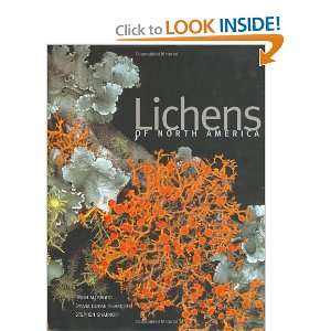    Lichens of North America [Hardcover] Mr. Irwin M. Brodo Books