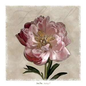  Peony I   Poster by Janel Pahl (27.5 x 27.5)