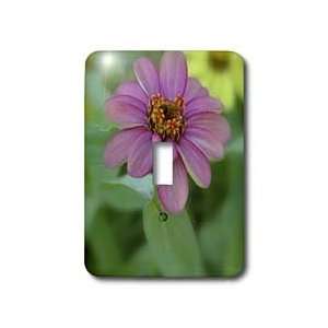   Expression  Flowers  Photography   Light Switch Covers   single toggle