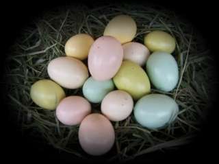   Pastel Farm Eggs look like they just came out of The Chicken Coop