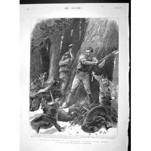  1893 LUMBERMEN ATTACKED WILD DOGS PINE FOREST MAINE