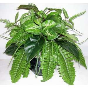  15 Mixed Greenery with Fern & Philodendron Plant