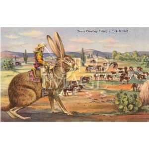   Press Card   Texas Cowboy Riding A Jack Rabbit