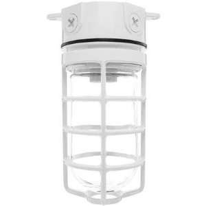   Vaporproof 23W Self Ballasted Cfl Ceiling