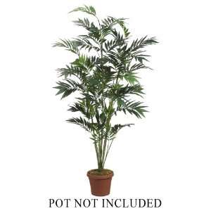  7? Bamboo Palm x6 w/672 Lvs. (Pack of 2)