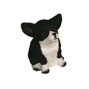  Barky the Boston Terrier 