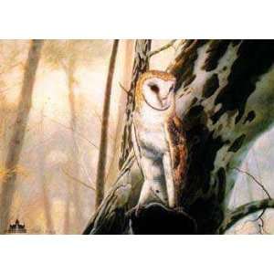  Charles Frace   Barn Owl Artists Proof