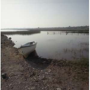  Shannon River at Knockcroghery Lough   Co. Rosscom 