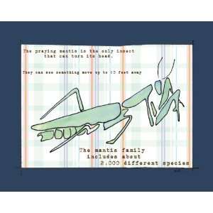  Lailas Did You Know Praying Mantis by Serena Bowman 10 by 