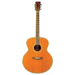   Song Cedar Top Dreadnought Acoustic Guitar Musical Instruments