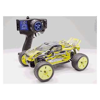    RC Ready to Run Electric Off Road Blue Storm Truggy Toys & Games