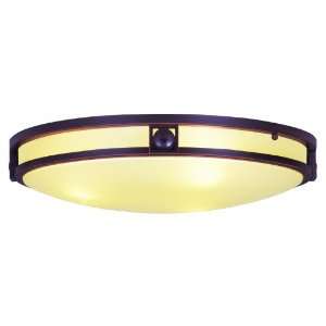  Livex Lighting 4489 67 Matrix Close to Ceiling Light 