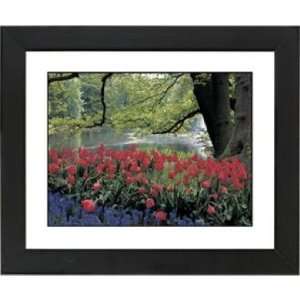  Red Spring Black Frame Giclee 23 1/4 Wide Wall Art