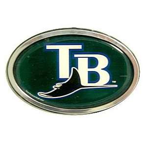  Tampa Bay Rays Color Auto Emblem