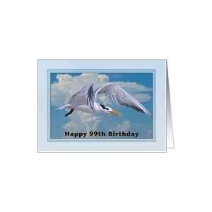  Happy Birthday, 99th, Royal Tern Bird Card Toys & Games