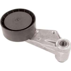    Goodyear 49057 Gatorback Idler and Tensioner Pulley Automotive
