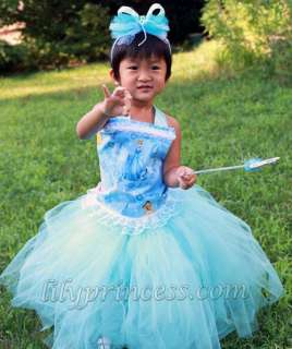 Custom Cinderella Tutu Dress birthday pageant tiara  