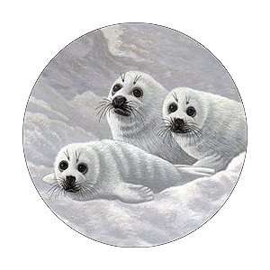  Harp Seal Pups Spare Tire Cover