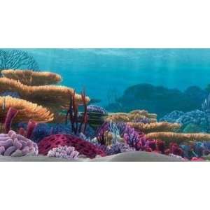    Tetra Disney Aquarium Background   Coral Reef