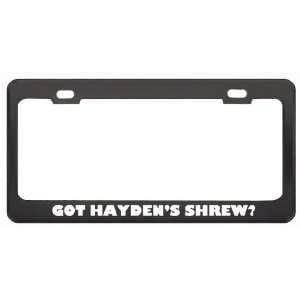  Got HaydenS Shrew? Animals Pets Black Metal License Plate 