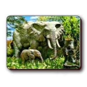  3D Lenticular Magnet   ELEPHANTS
