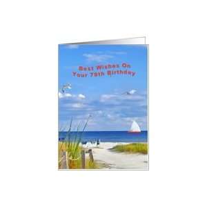  79th, Birthday, Beach and Ocean View Card Toys & Games