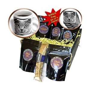 VWPics Dogs n Cats   Chat   Coffee Gift Baskets   Coffee Gift Basket 