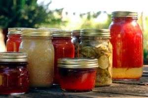 Survival Home Canning CD Food Storage Meat Fruit Recipe  