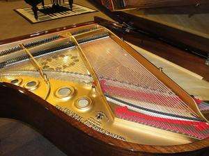 perfect STEINWAY & SONS Model L living room grand piano  