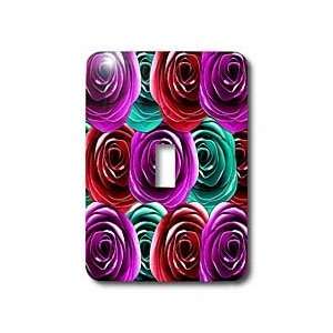 311 Multi colored Roses   Fun colorful rainbow roses   Light Switch 