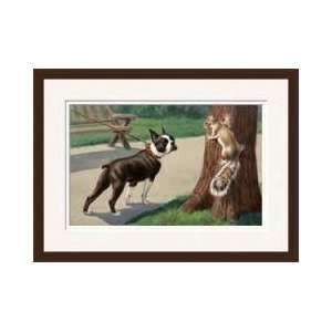  A Boston Terrier Eyes A Nervous Squirrel Framed Giclee 