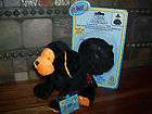 Webkinz lot~PUMPKIN PUPPY & WITCH COSTUME Clothing Outfit~New***F 